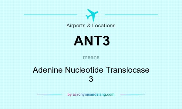 What does ANT3 mean? It stands for Adenine Nucleotide Translocase 3
