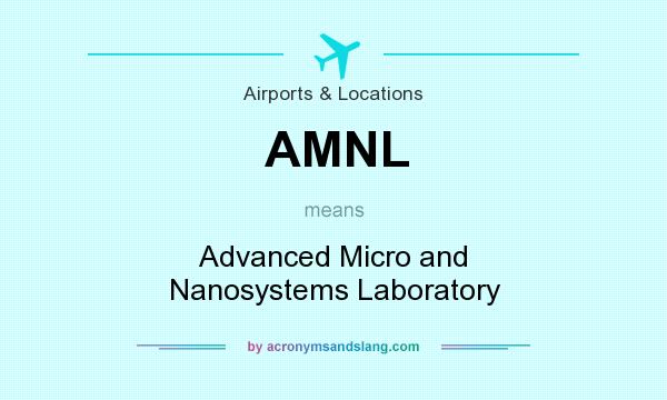 What does AMNL mean? It stands for Advanced Micro and Nanosystems Laboratory