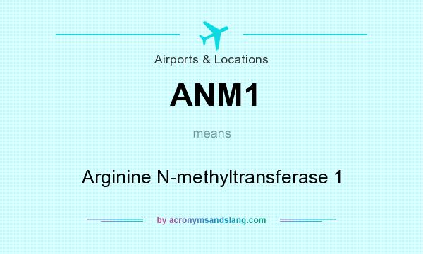 What does ANM1 mean? It stands for Arginine N-methyltransferase 1