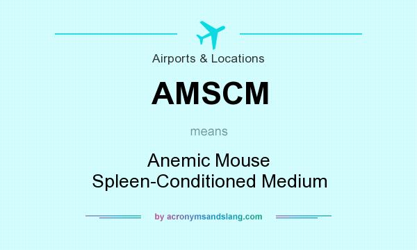 What does AMSCM mean? It stands for Anemic Mouse Spleen-Conditioned Medium