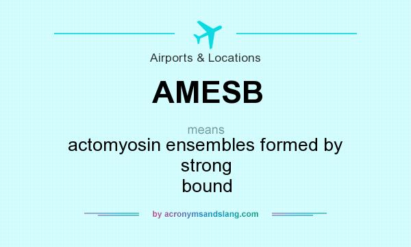 What does AMESB mean? It stands for actomyosin ensembles formed by strong bound