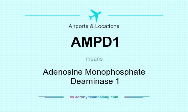 What does AMPD1 mean? It stands for Adenosine Monophosphate Deaminase 1