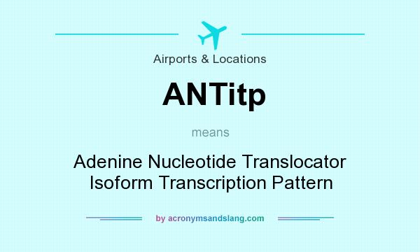 What does ANTitp mean? It stands for Adenine Nucleotide Translocator Isoform Transcription Pattern