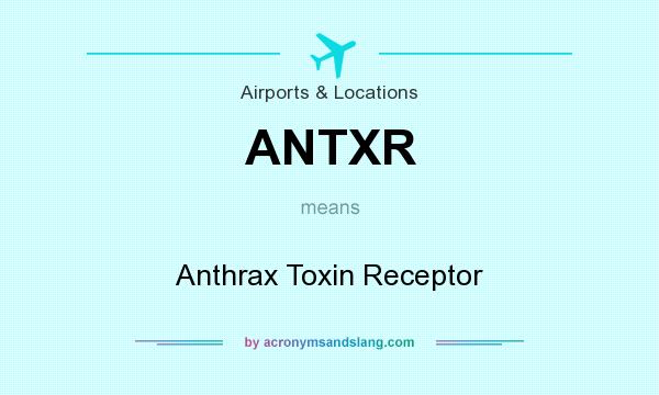 What does ANTXR mean? It stands for Anthrax Toxin Receptor