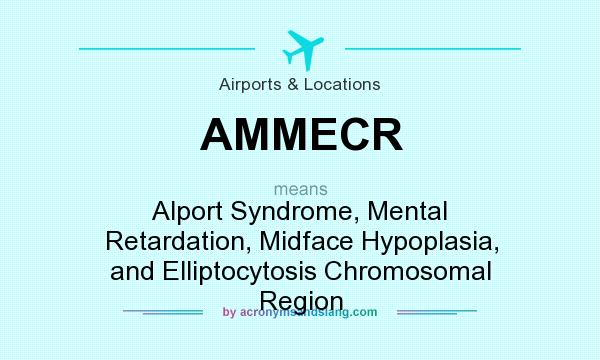 What does AMMECR mean? It stands for Alport Syndrome, Mental Retardation, Midface Hypoplasia, and Elliptocytosis Chromosomal Region