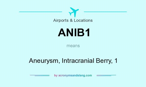 What does ANIB1 mean? It stands for Aneurysm, Intracranial Berry, 1