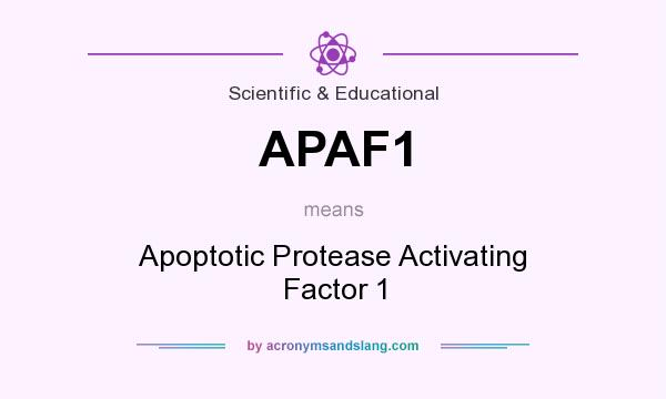 What does APAF1 mean? It stands for Apoptotic Protease Activating Factor 1