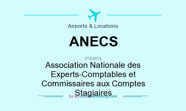 What does ANECS mean? It stands for Association Nationale des Experts-Comptables et Commissaires aux Comptes Stagiaires