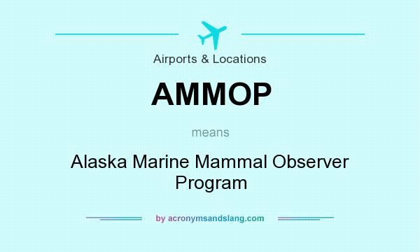 What does AMMOP mean? It stands for Alaska Marine Mammal Observer Program