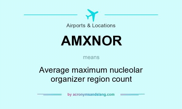 What does AMXNOR mean? It stands for Average maximum nucleolar organizer region count