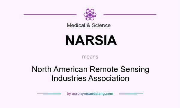What does NARSIA mean? It stands for North American Remote Sensing Industries Association