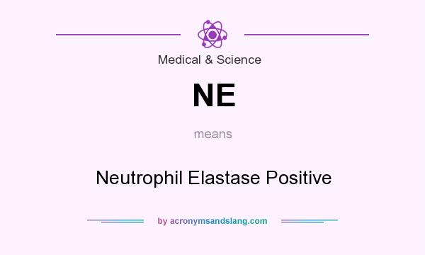 What does NE mean? It stands for Neutrophil Elastase Positive