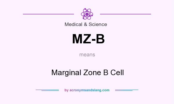 What does MZ-B mean? It stands for Marginal Zone B Cell