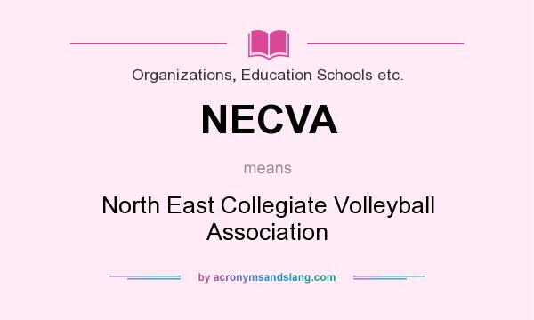 What does NECVA mean? It stands for North East Collegiate Volleyball Association