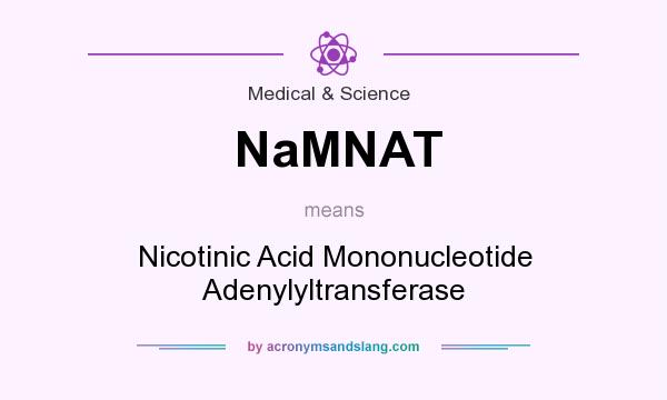 What does NaMNAT mean? It stands for Nicotinic Acid Mononucleotide Adenylyltransferase