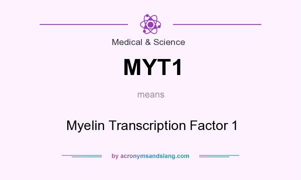 What does MYT1 mean? It stands for Myelin Transcription Factor 1