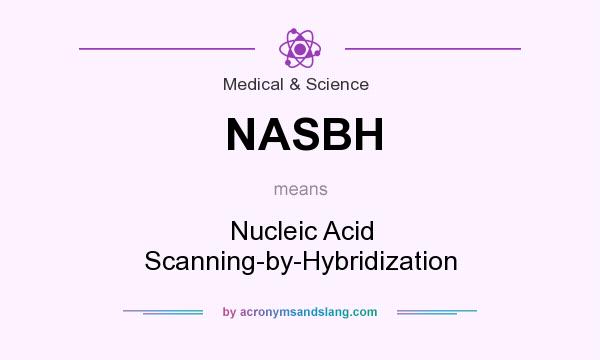 What does NASBH mean? It stands for Nucleic Acid Scanning-by-Hybridization