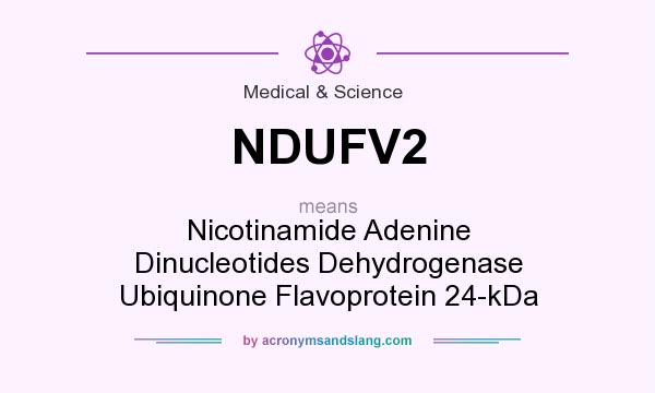 What does NDUFV2 mean? It stands for Nicotinamide Adenine Dinucleotides Dehydrogenase Ubiquinone Flavoprotein 24-kDa