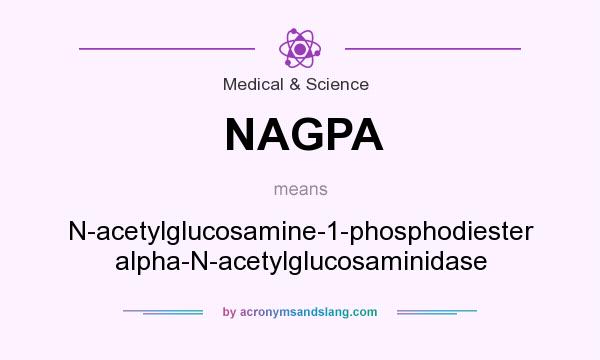 What does NAGPA mean? It stands for N-acetylglucosamine-1-phosphodiester alpha-N-acetylglucosaminidase