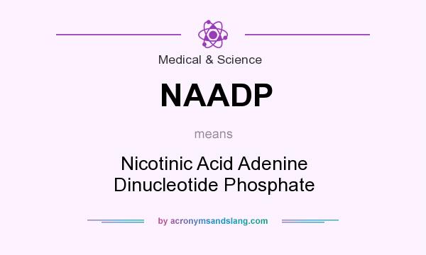 What does NAADP mean? It stands for Nicotinic Acid Adenine Dinucleotide Phosphate