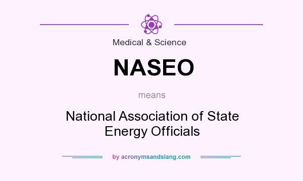 What does NASEO mean? It stands for National Association of State Energy Officials