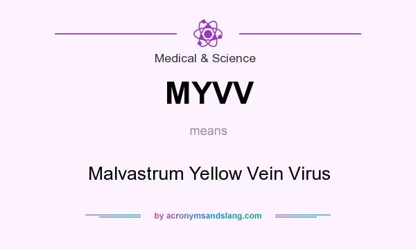 What does MYVV mean? It stands for Malvastrum Yellow Vein Virus