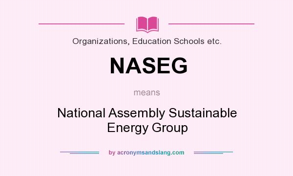 What does NASEG mean? It stands for National Assembly Sustainable Energy Group