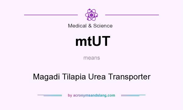 What does mtUT mean? It stands for Magadi Tilapia Urea Transporter