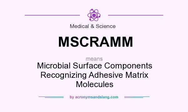 What does MSCRAMM mean? It stands for Microbial Surface Components Recognizing Adhesive Matrix Molecules