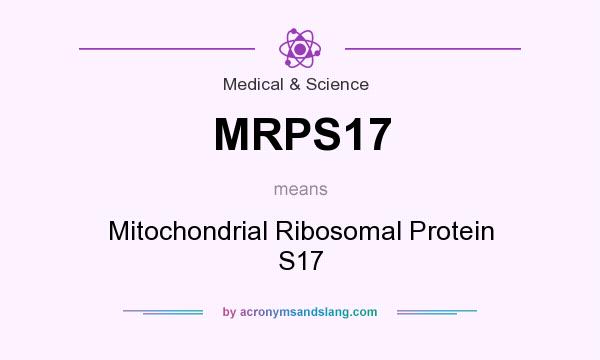 What does MRPS17 mean? It stands for Mitochondrial Ribosomal Protein S17
