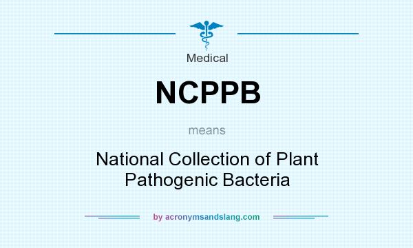 What does NCPPB mean? It stands for National Collection of Plant Pathogenic Bacteria