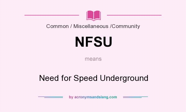 What does NFSU mean? It stands for Need for Speed Underground