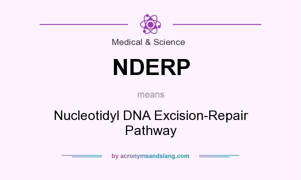 What does NDERP mean? It stands for Nucleotidyl DNA Excision-Repair Pathway