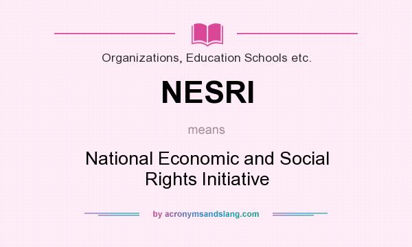 What does NESRI mean? It stands for National Economic and Social Rights Initiative