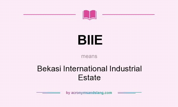 What does BIIE mean? It stands for Bekasi International Industrial Estate