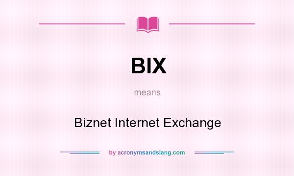 What does BIX mean? It stands for Biznet Internet Exchange