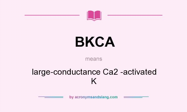 What does BKCA mean? It stands for large-conductance Ca2 -activated K