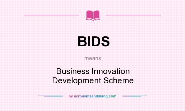 What does BIDS mean? It stands for Business Innovation Development Scheme