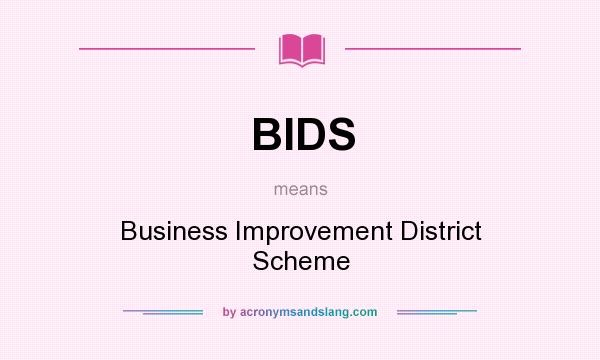 What does BIDS mean? It stands for Business Improvement District Scheme