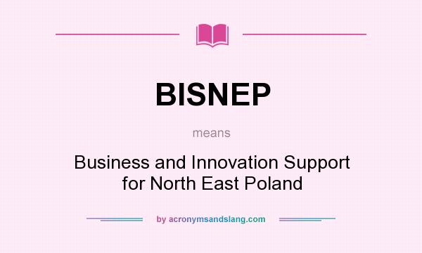 What does BISNEP mean? It stands for Business and Innovation Support for North East Poland