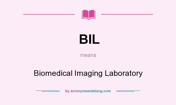 What does BIL mean? It stands for Biomedical Imaging Laboratory