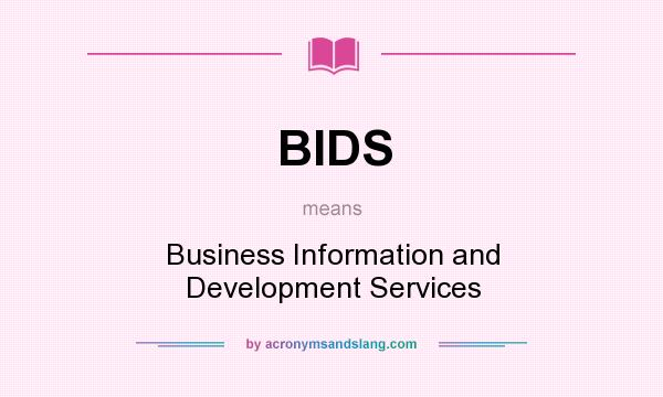 What does BIDS mean? It stands for Business Information and Development Services