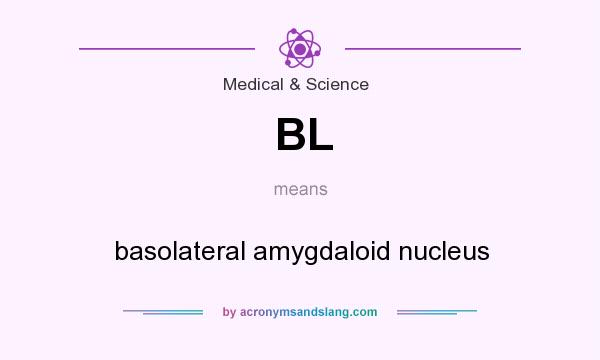 What does BL mean? It stands for basolateral amygdaloid nucleus