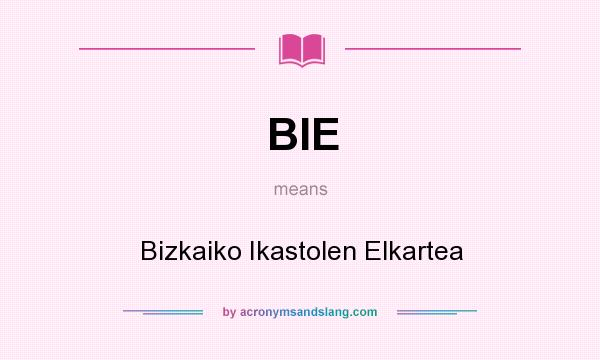 What does BIE mean? It stands for Bizkaiko Ikastolen Elkartea
