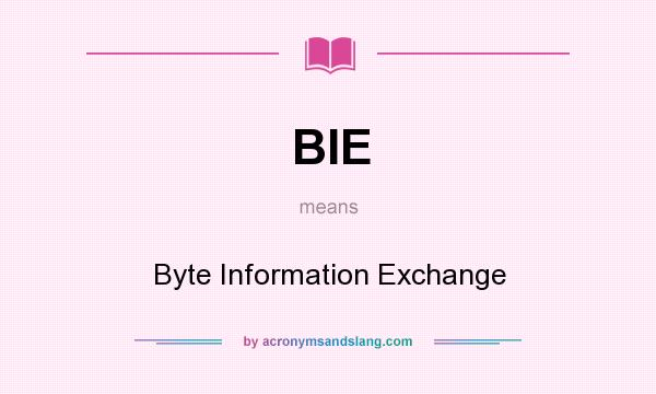 What does BIE mean? It stands for Byte Information Exchange