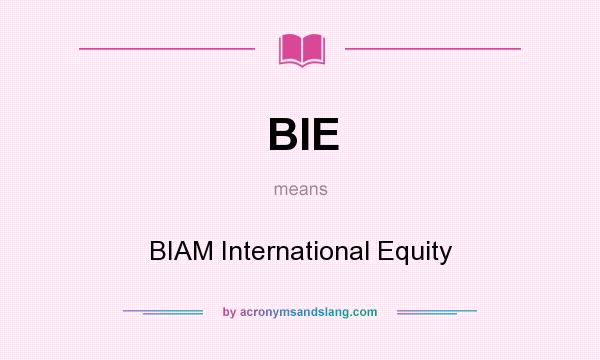 What does BIE mean? It stands for BIAM International Equity