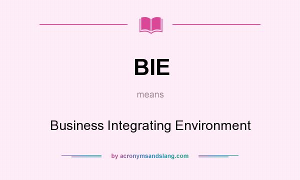 What does BIE mean? It stands for Business Integrating Environment