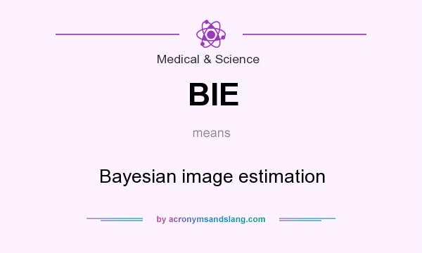 What does BIE mean? It stands for Bayesian image estimation