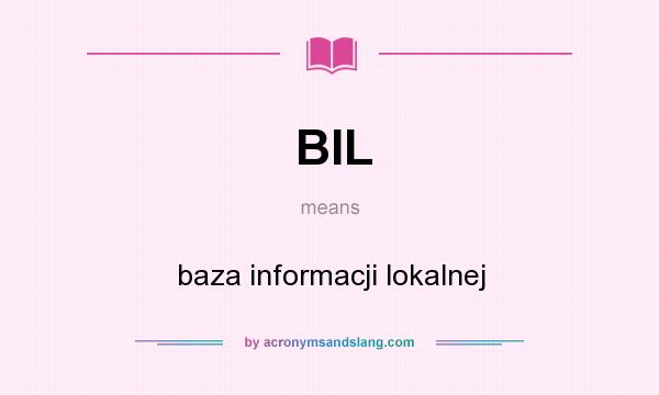 What does BIL mean? It stands for baza informacji lokalnej