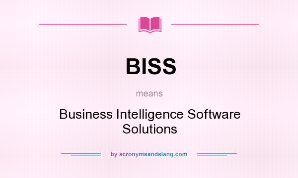 What does BISS mean? It stands for Business Intelligence Software Solutions